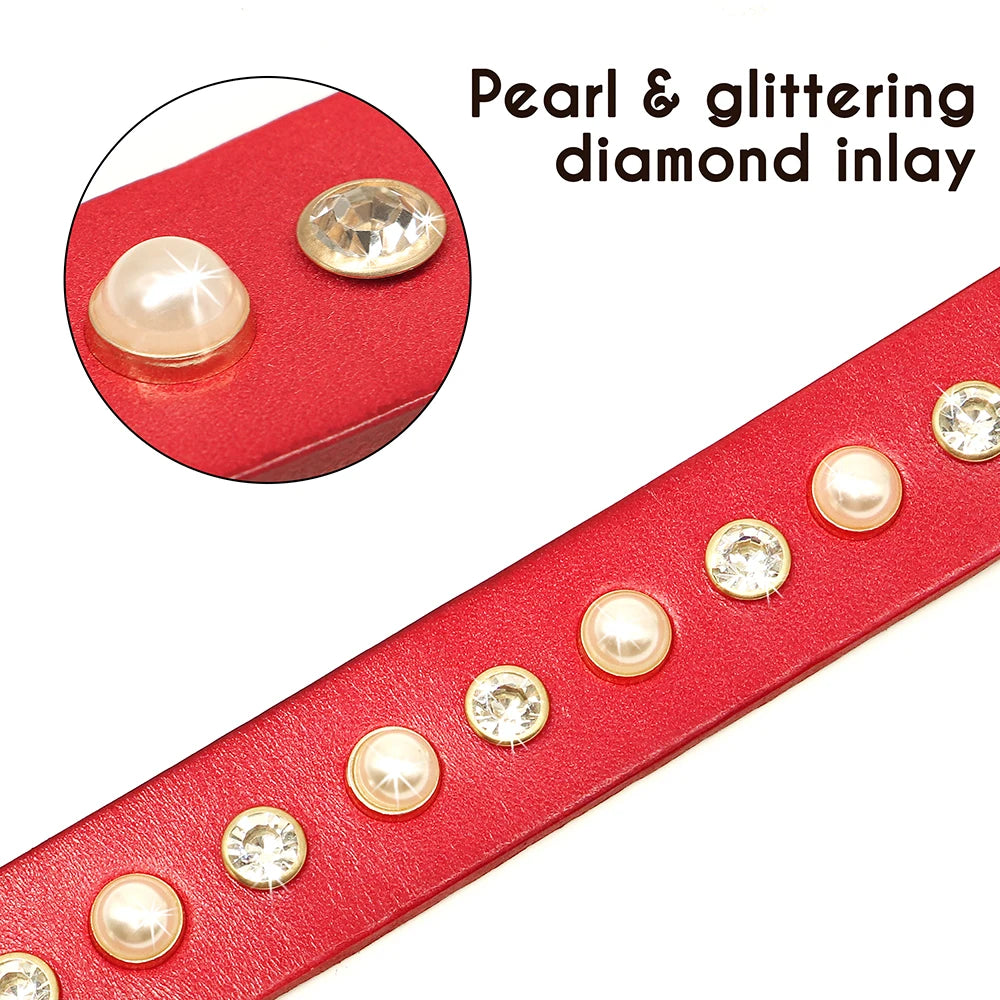 Genuine Leather Bling Collar & Leash Set – For Small & Medium Pets