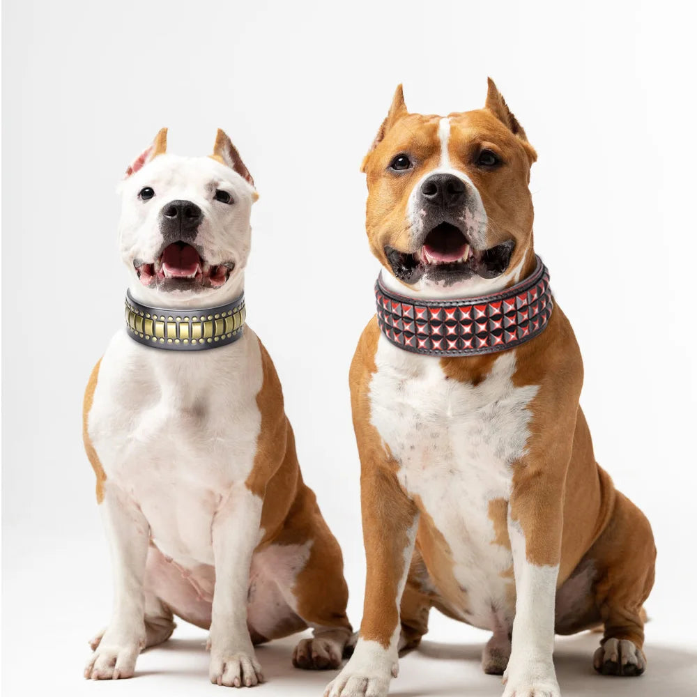2-Inch Wide Luxury Leather Dog Collar with Durable Rivets – Stylish & Strong for Medium & Large Dogs