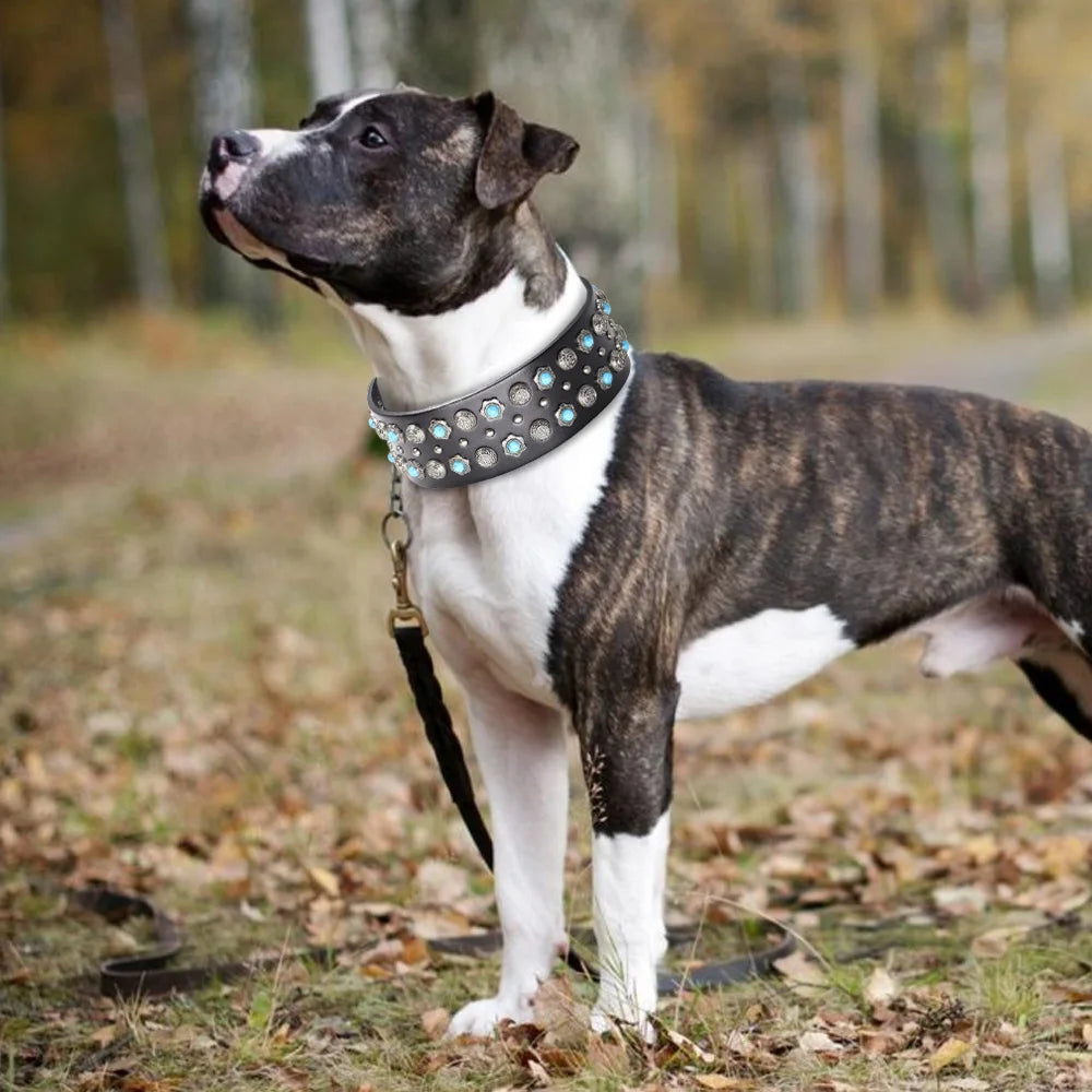 2-Inch Wide Luxury Leather Dog Collar with Durable Rivets – Stylish & Strong for Medium & Large Dogs