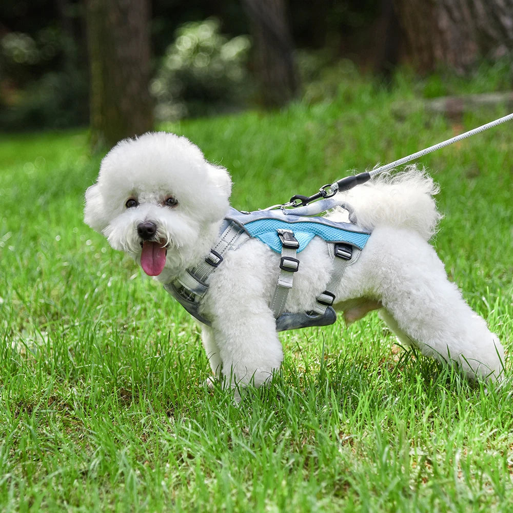 Summer Ice Cooling Dog Harness Vest Reflective Pet Harness Clothes for Small Medium Large Dogs Outdoor Pet Cool Down Jackets