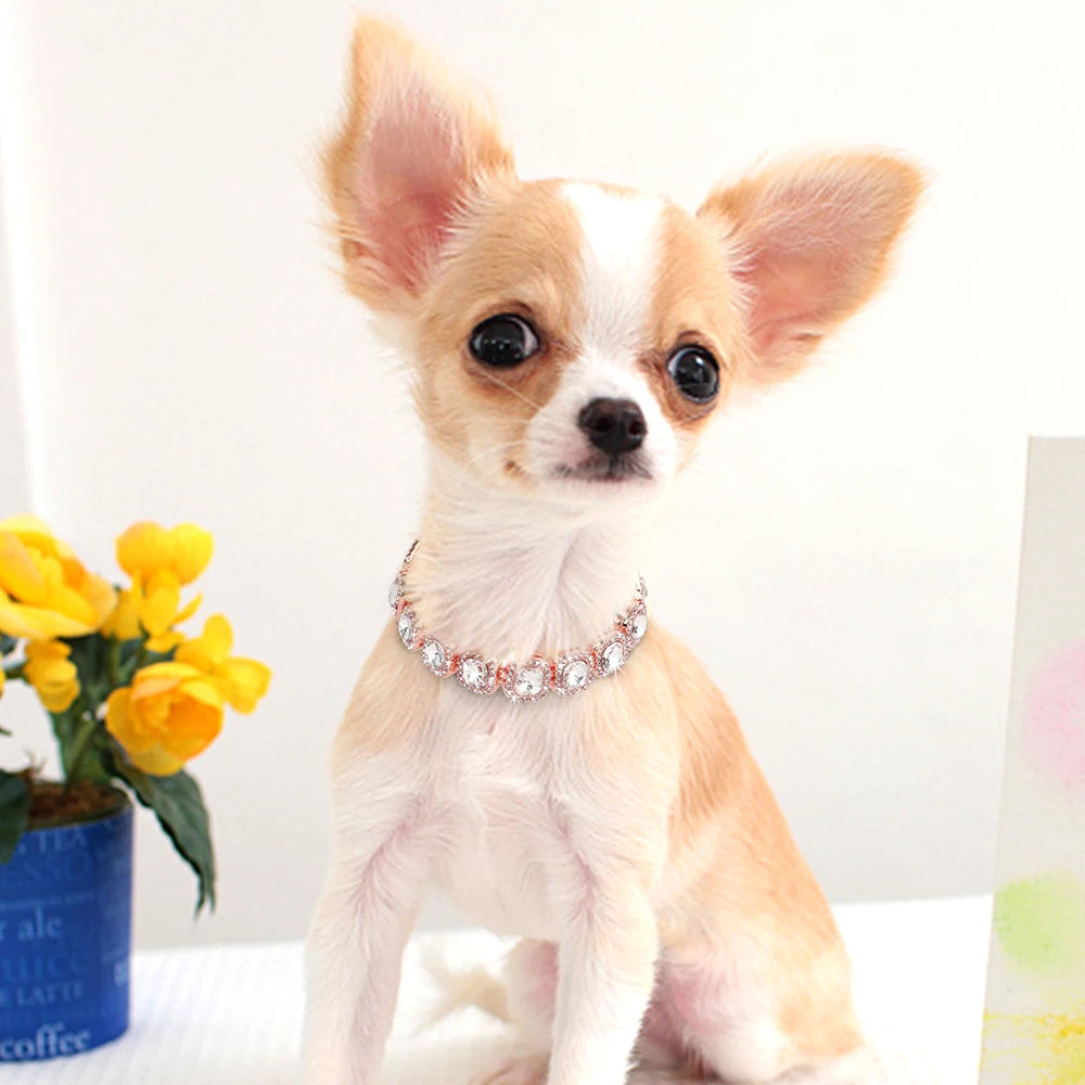 Bling Rhinestone Cat Necklace Adjustable Dog Cat Collar Bling Cats Pupply Choke Collars For Small Dogs Cats Rabbit Pet Accessory