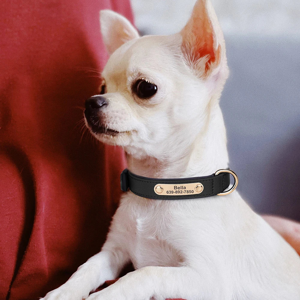 Custom Nylon Dog Collar – Waterproof Personalized Pet Collar with Engraved ID Nameplate for Small & Medium Dogs