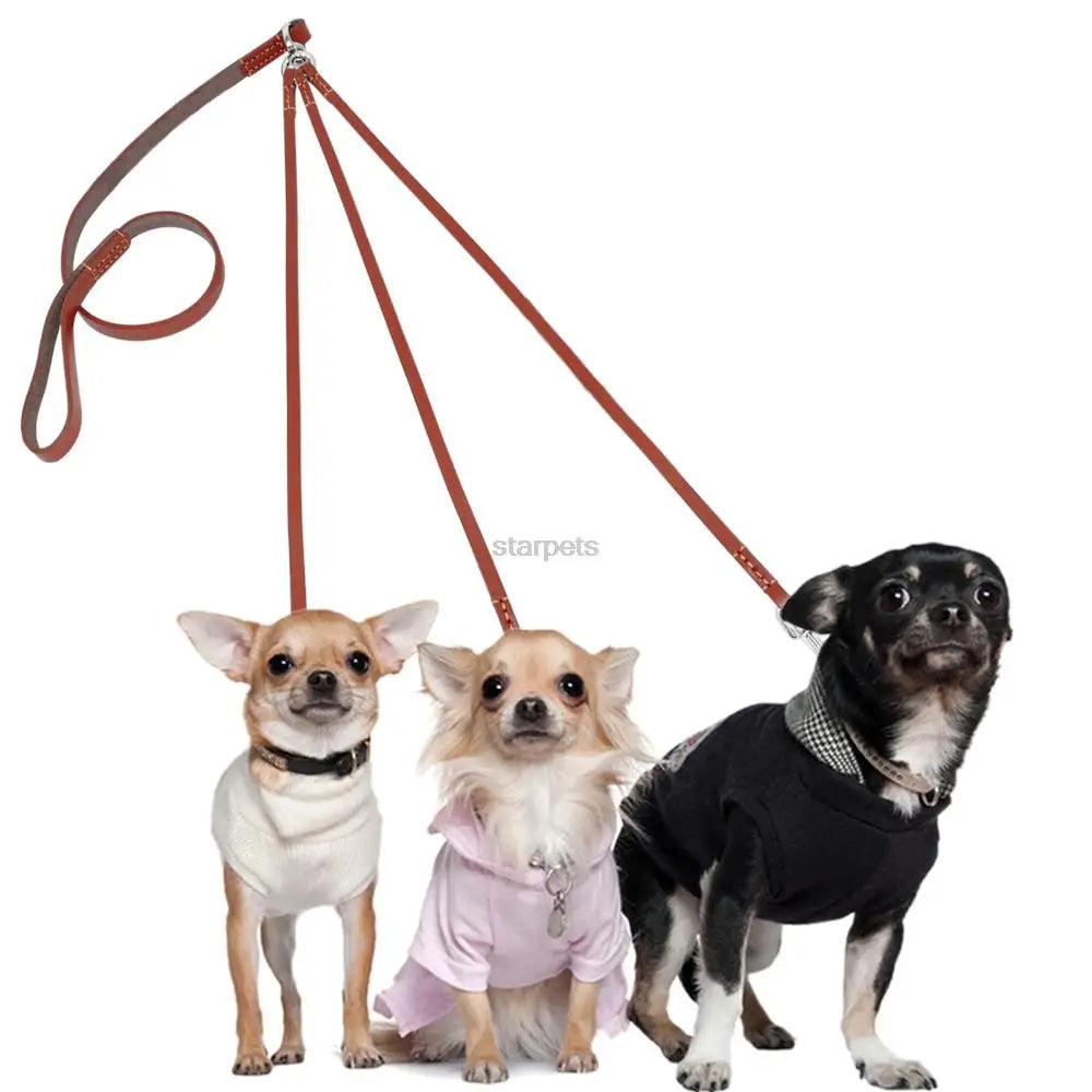 Three Way Puppy Dog Leash Coupler – Leather Triple Dog Lead