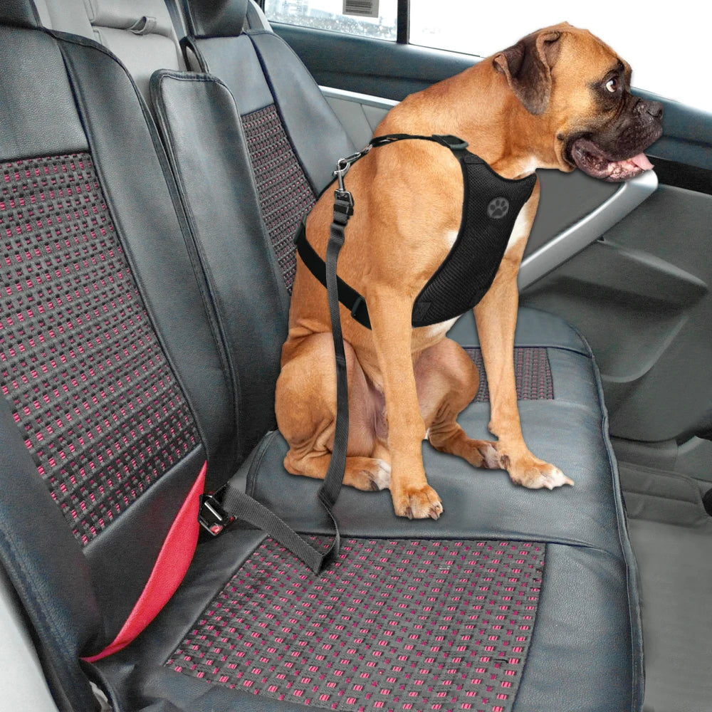 Nylon Breathable Mesh Dog Car Harness – Adjustable Safety Vest with Leash & Seatbelt for Medium & Large Dogs