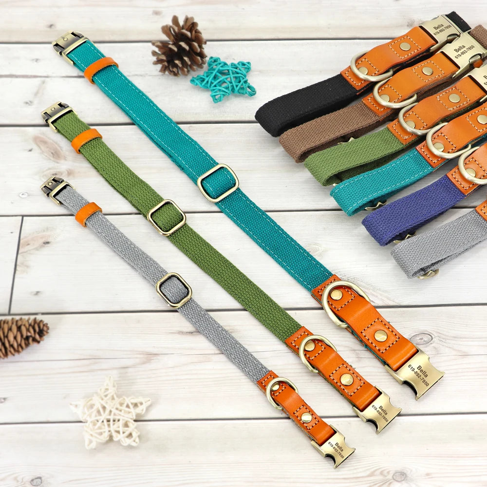 Nylon Custom Dog Collar & Leash Set – Personalized with Leather Nameplate
