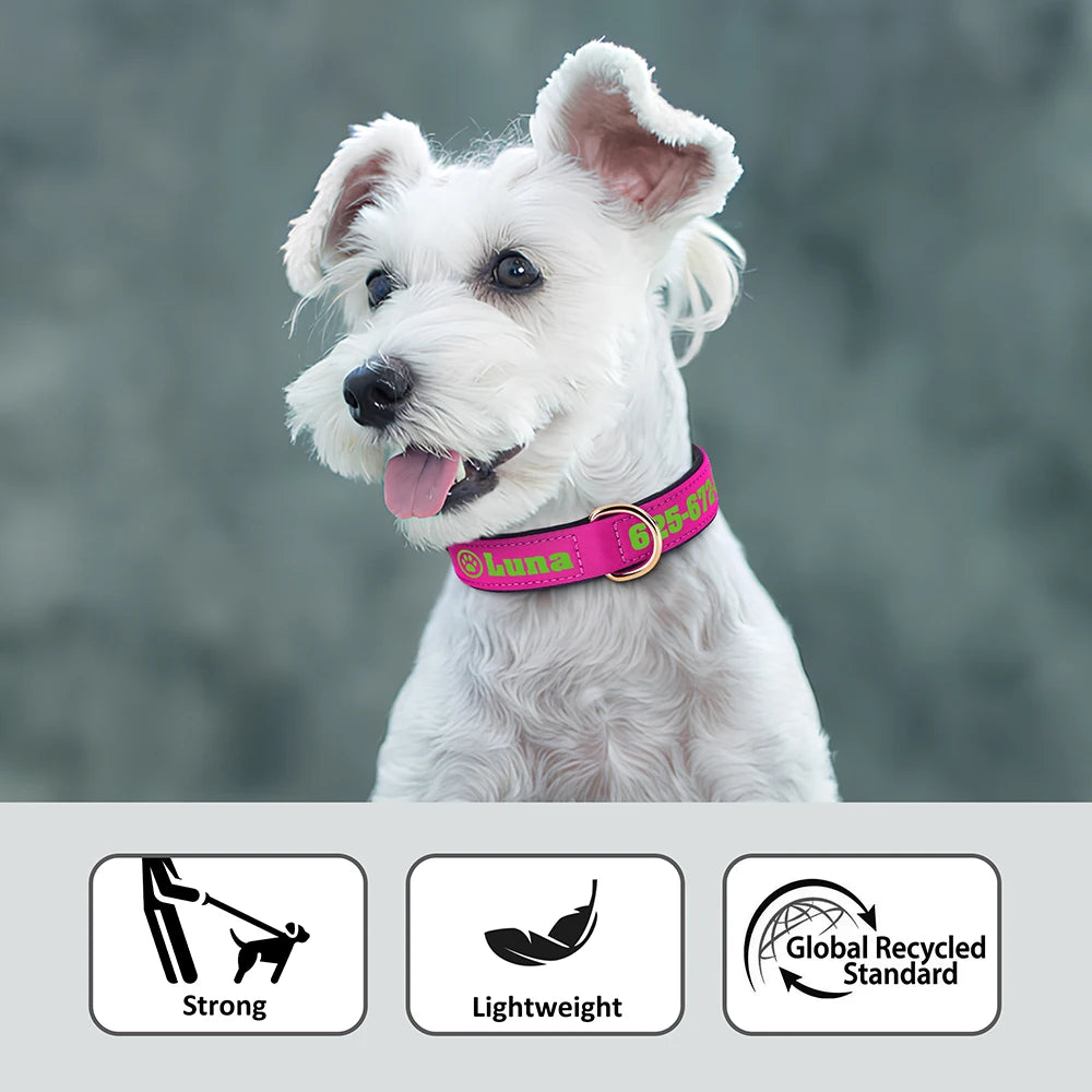 Custom Leather Dog Collar – Free Name & Number | Soft Padded & Adjustable