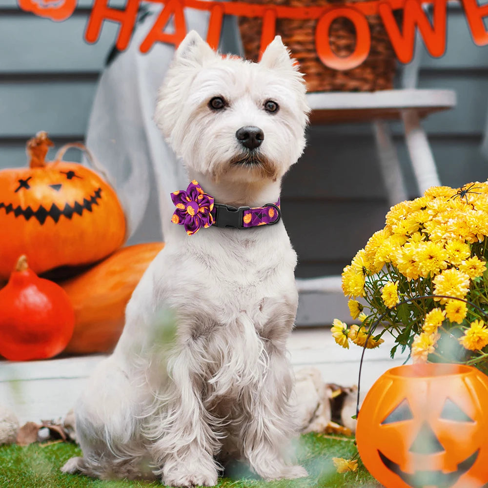 Halloween Nylon Dog Collar with Flower – Adjustable Pumpkin Pet Collar for Small Medium Large Dogs
