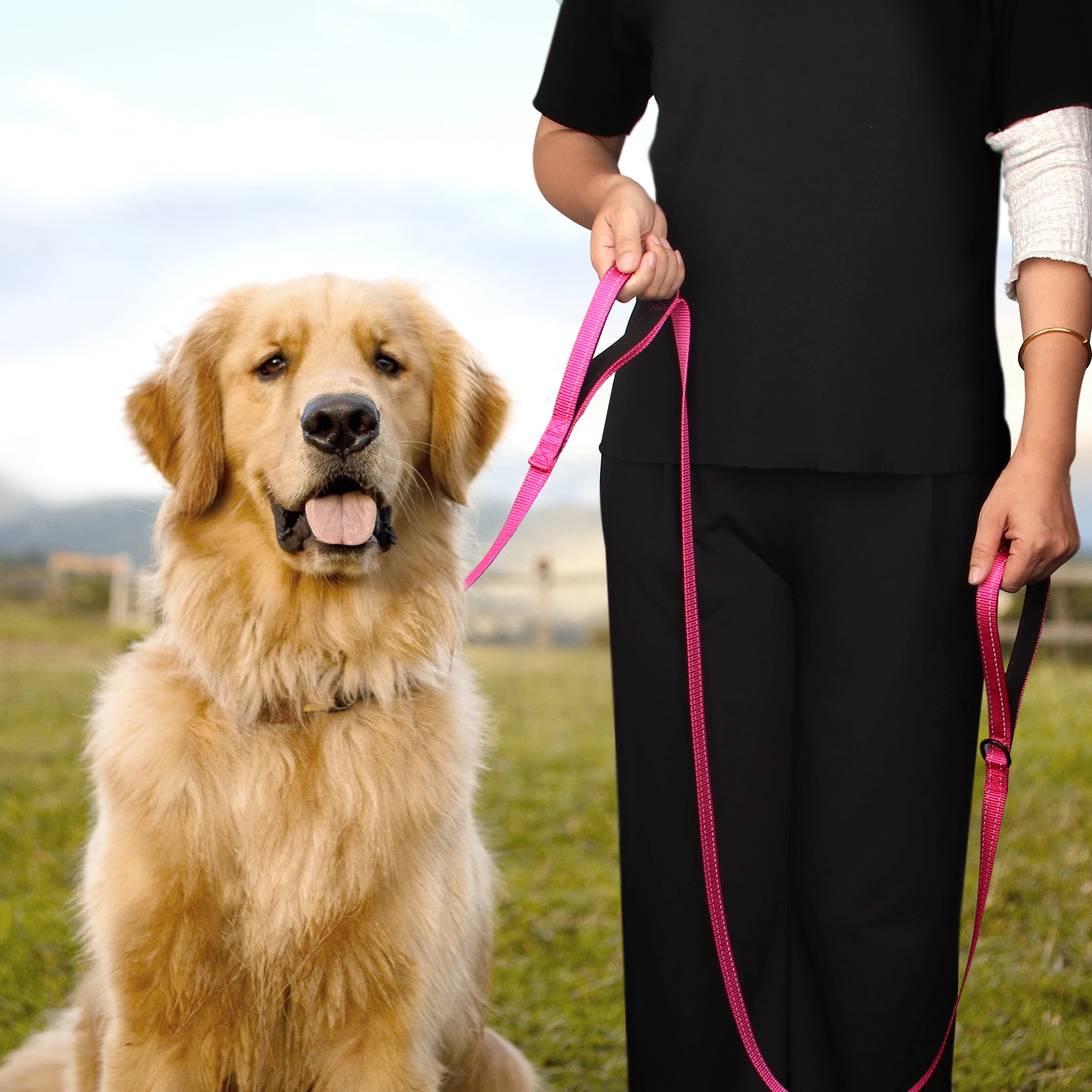 5ft Double Handle Nylon Padded Dog Leash – Reflective Training & Walking Lead for Medium Large Dogs