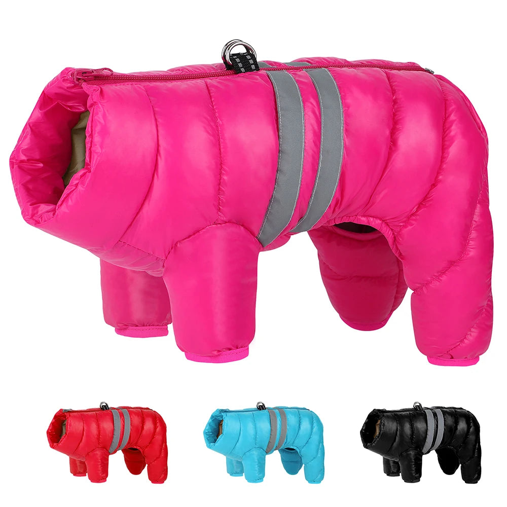 Warm Winter Dog Coat – Waterproof Jacket for Small & Medium Breeds