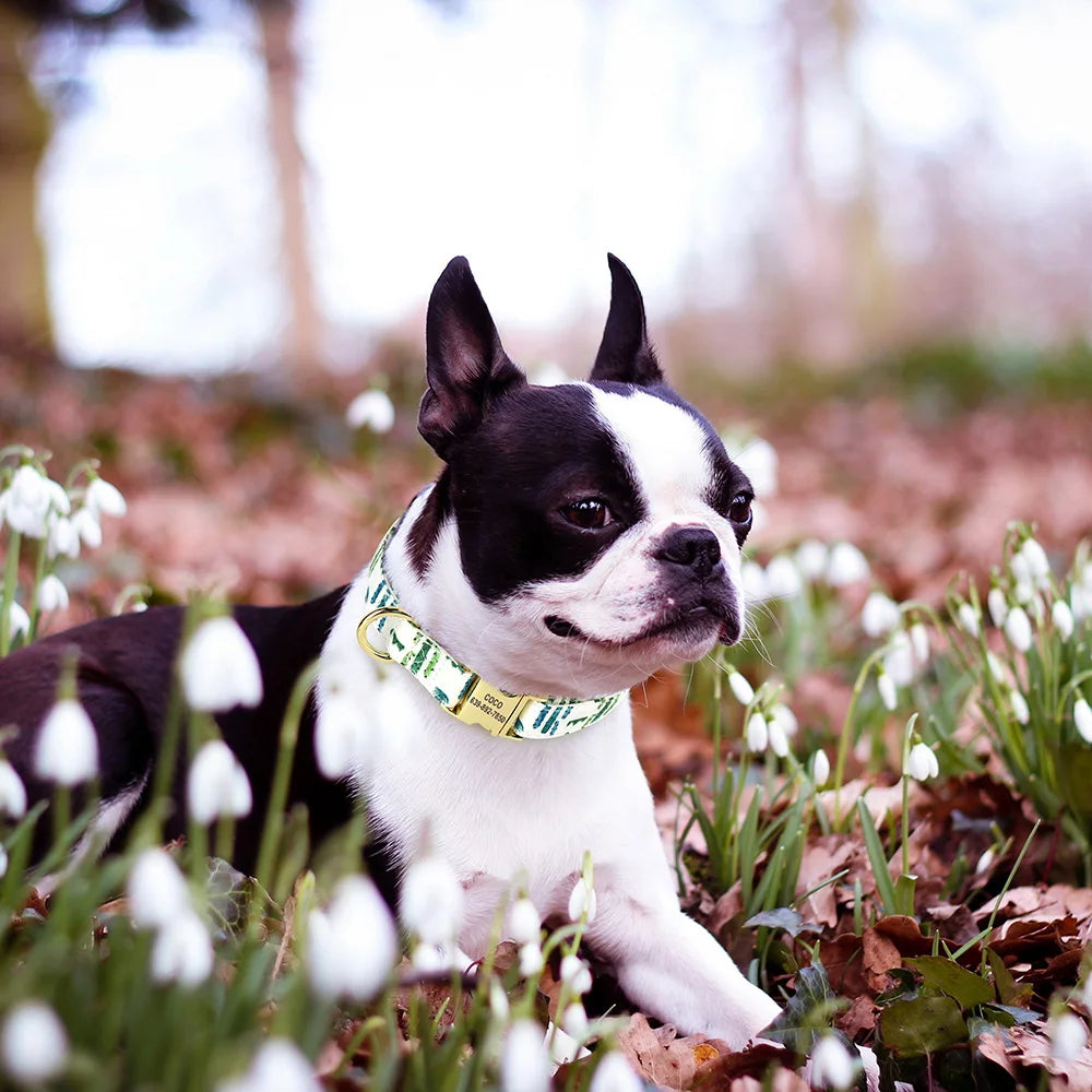 Personalized Flower Dog Collar – Adjustable Nylon with Custom ID Buckle
