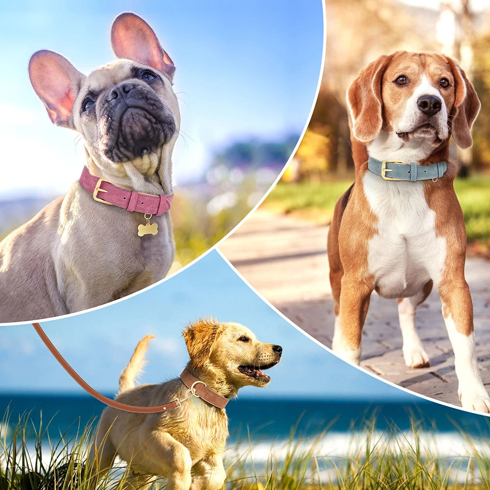 Adjustable Suede Leather Dog Collar – Soft Padded, Durable & Stylish for Small to Large Dogs