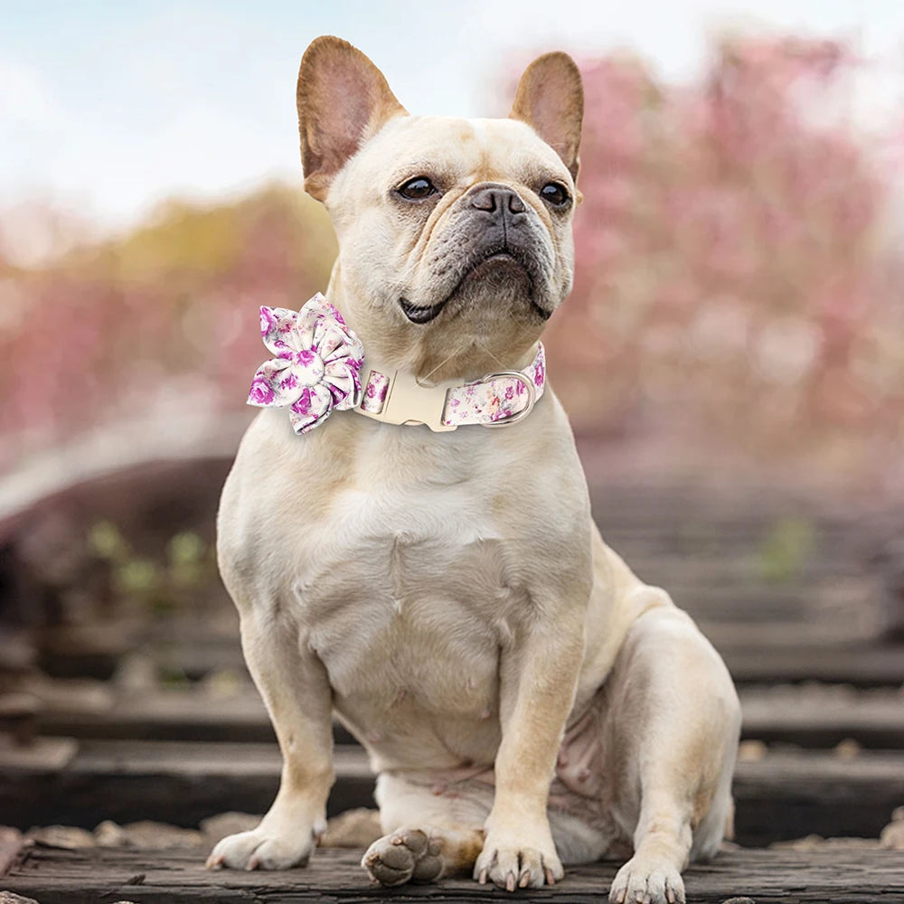 Fashion Floral Printed Nylon Dog Collar – Adjustable Spring Collar with Flower for Small & Medium Dogs (Pug, Chihuahua, Frenchie)