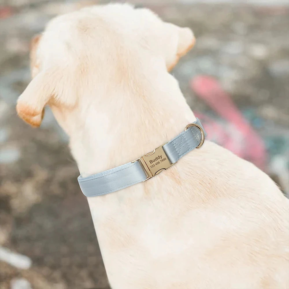 Engraved Dog Collar – Personalized ID Tag for Dogs & Cats (XS–L)
