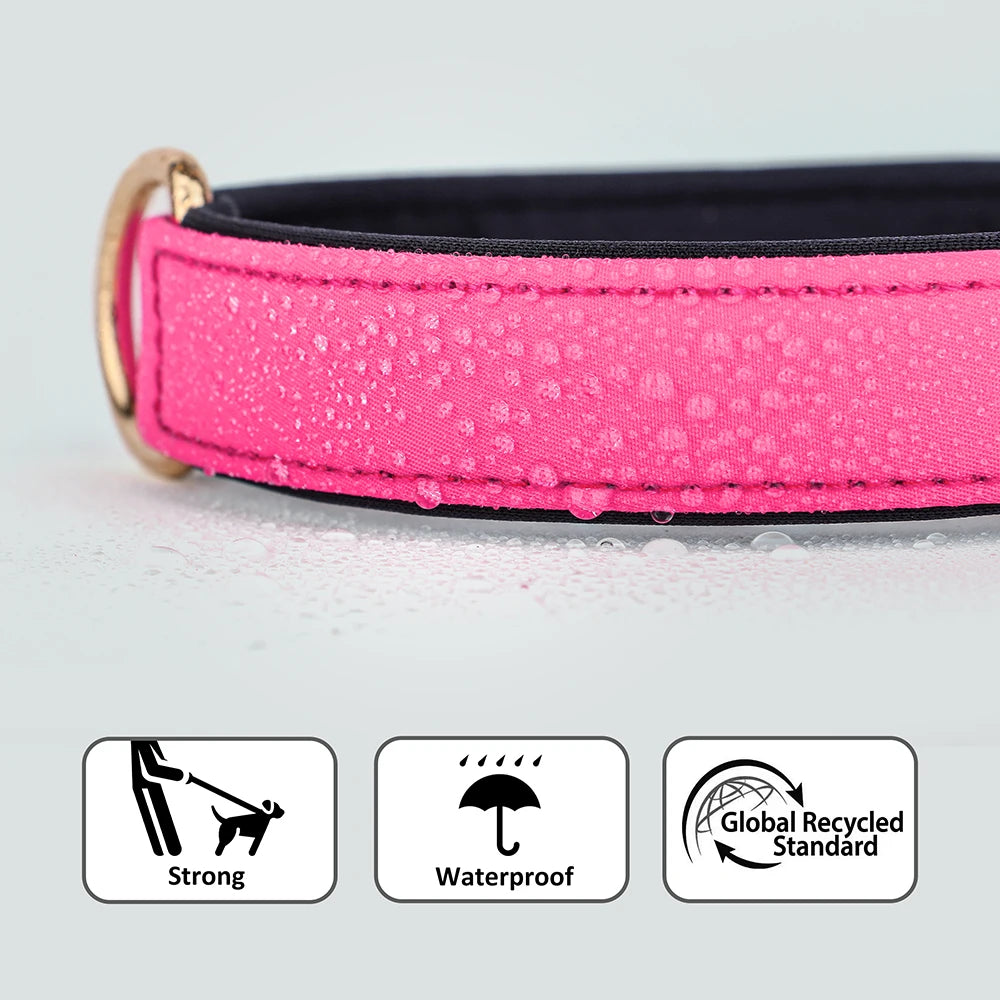 Waterproof Nylon Dog Collar – Soft Padded & Breathable Adjustable Collar for Small & Medium Dogs