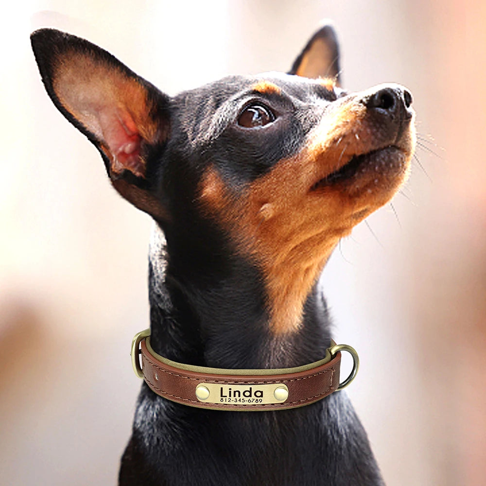 Custom PU Leather Dog Collar – Free Engraving | Adjustable Personalized Pet ID Tag for Small, Medium & Large Dogs