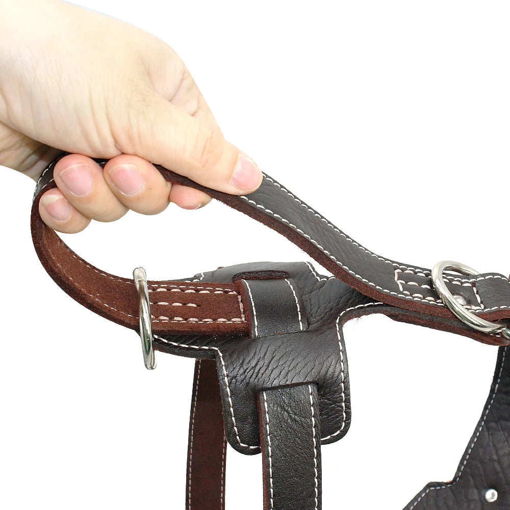 Genuine Leather Dog Harness – Durable Adjustable Large Dog Vest with Quick Control Handle &amp; Heavy-Duty Hardware (Pitbull, Bulldog, Labrador)