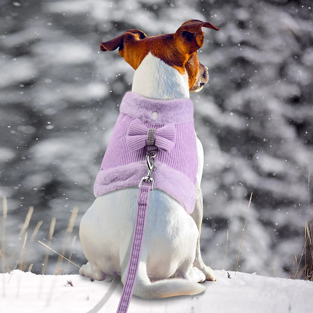 Soft Warm Dog Harness & Leash Set with Bowknot – Cute Vest Outfit for Small & Medium Dogs & Cats