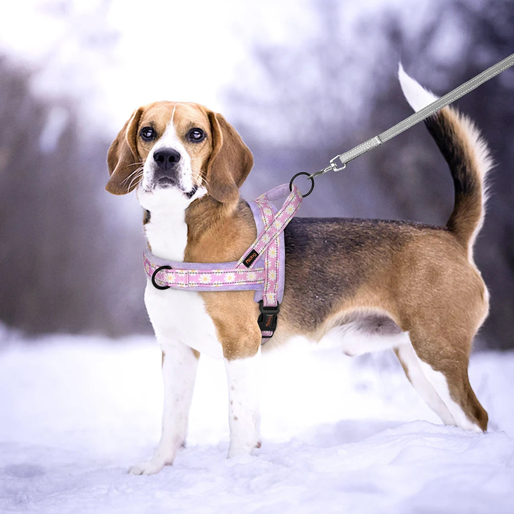 Winter Dog Harness No Pull Reflective Pet Dogs Vest Harness Warm Fur Padded Strap Harness for Medium Large Dogs Flower Print