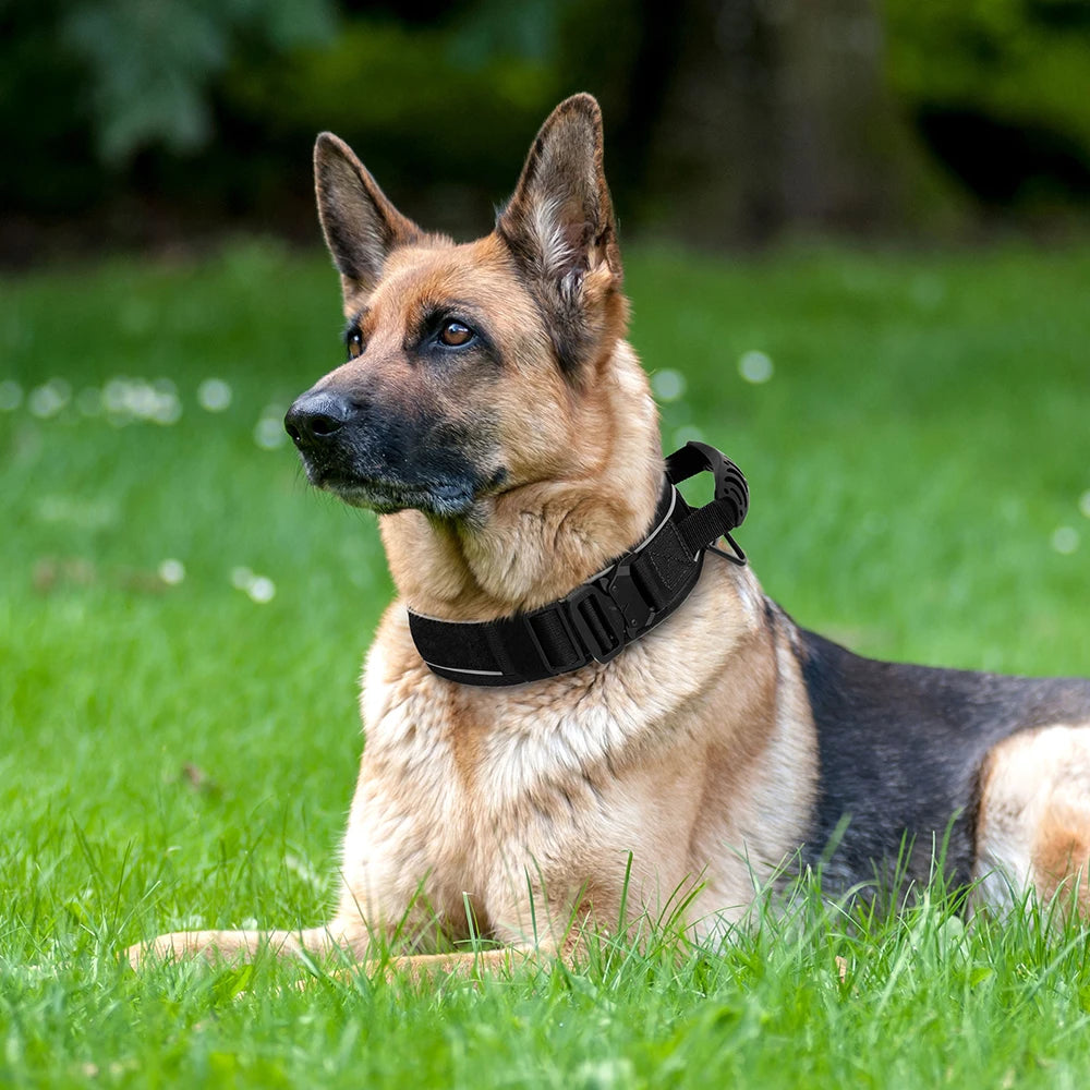 Tactical Dog Collar & Leash Set – Adjustable, Durable Nylon for Medium & Large Dogs