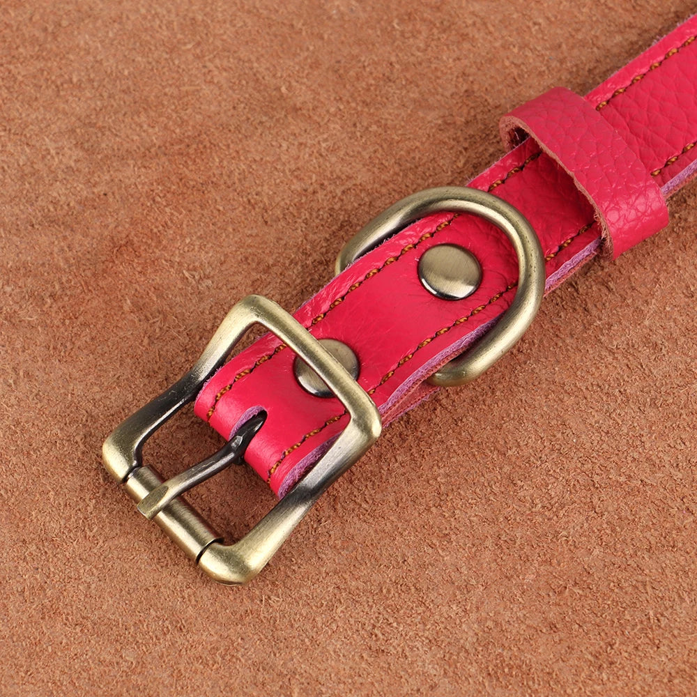 Personalized Genuine Leather Pet Puppy Collar For Small Dogs Cats