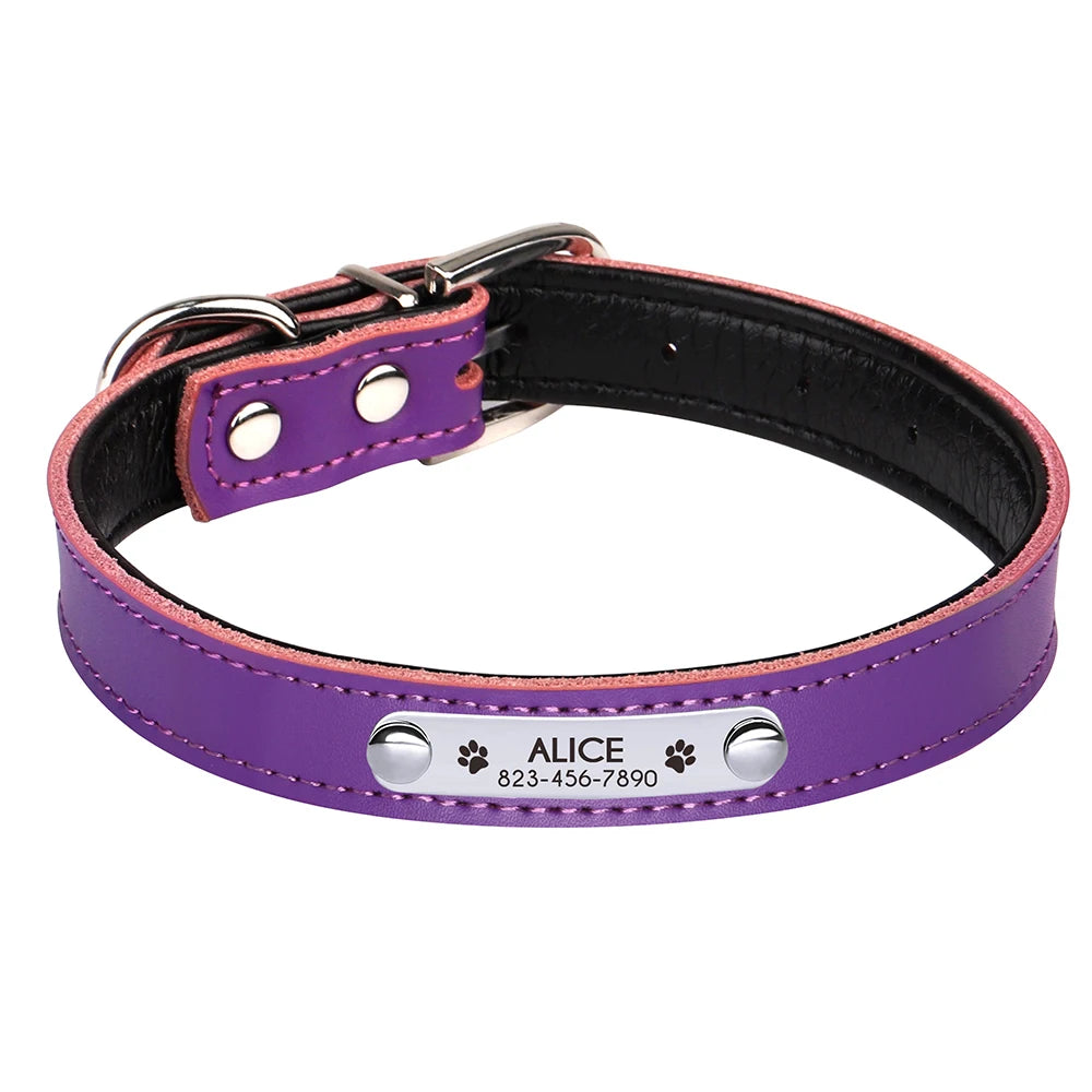 Custom Engraved Dog Collar – Personalized Puppy & Cat Collar with Nameplate – Adjustable for Small to Medium Dogs & Cats – Chihuahua, Pug, Yorkie