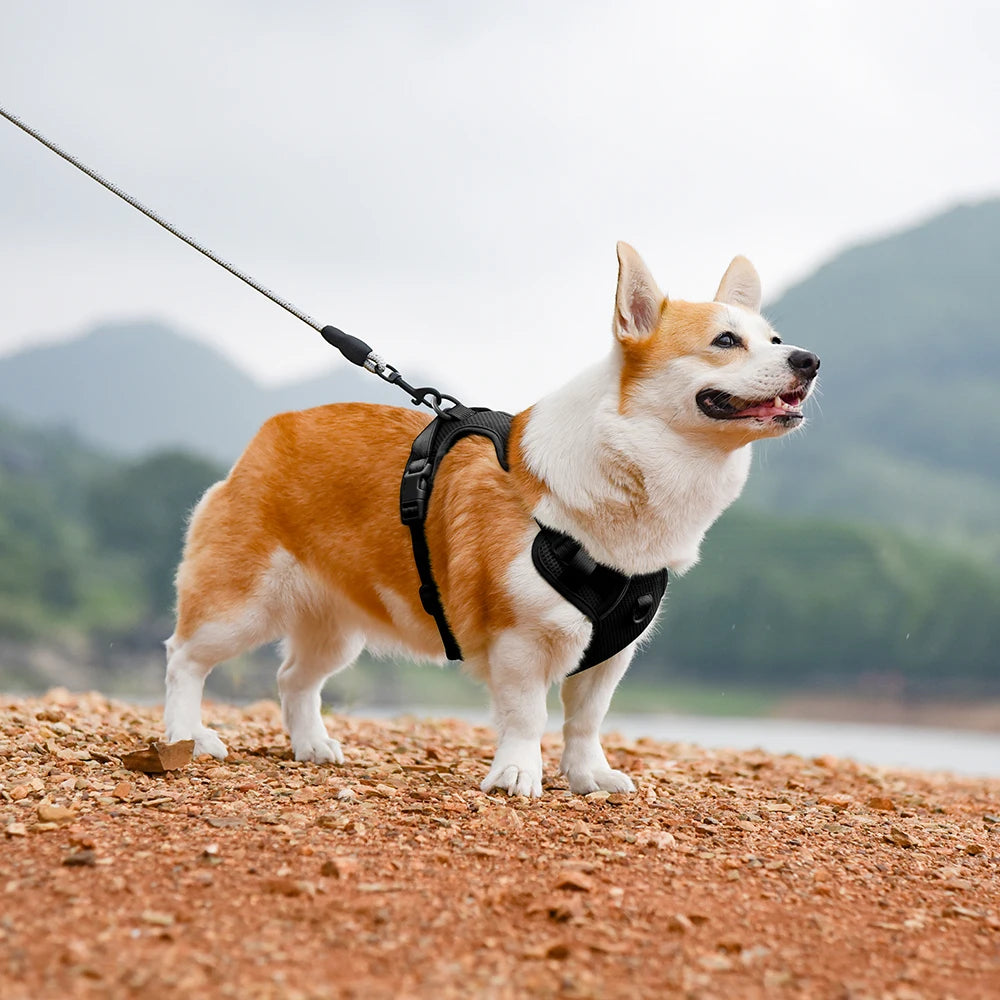 No Pull Nylon Mesh Dog Harness Breathable Pet Harnesses Vest For Medium Large Dogs Reflective Dog Chest Strap French Bulldog