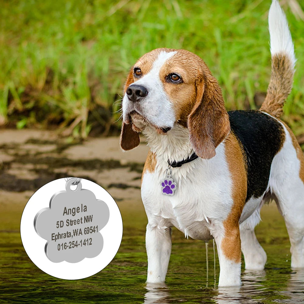Personalized Dog & Cat ID Tag – Engraved Stainless Steel Pet Name & Address Tag