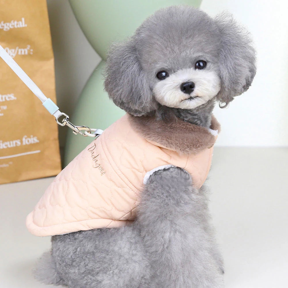 Winter Dog Coat with Fur Collar – Waterproof Warm Jacket for Small & Medium Dogs