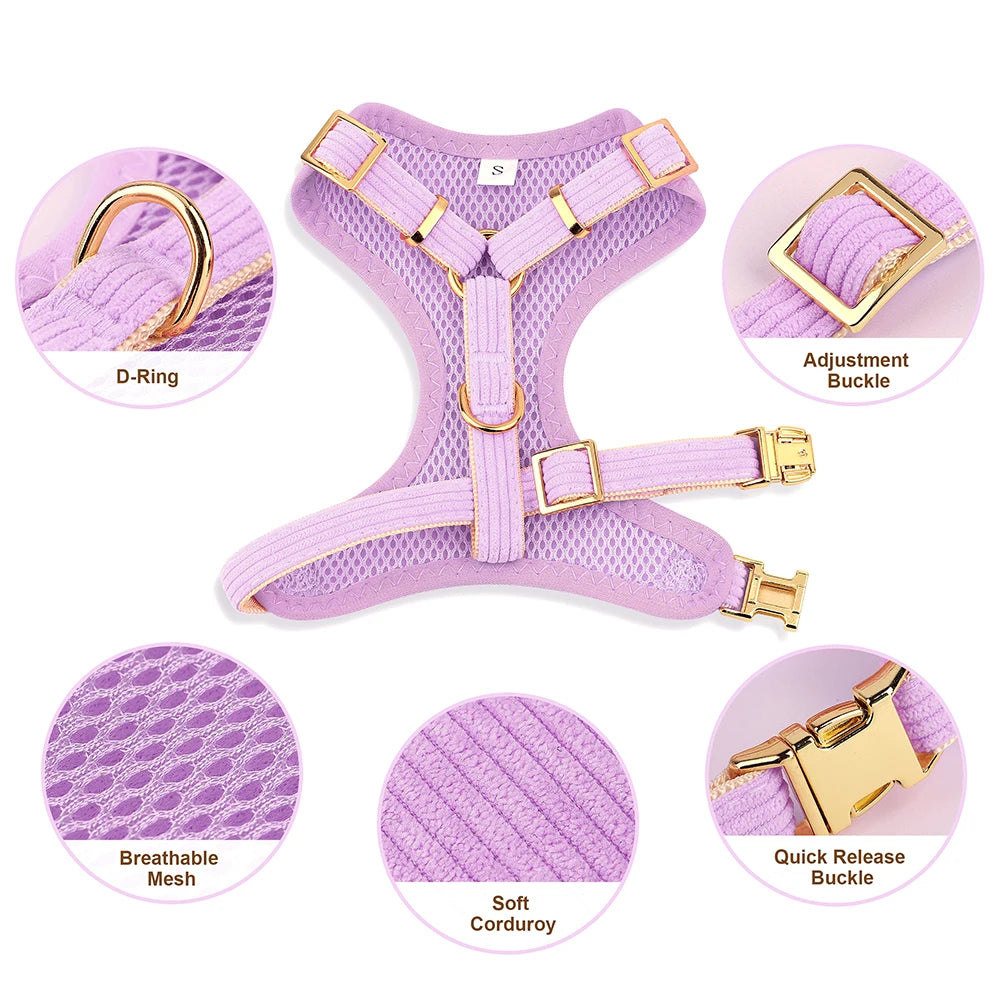 3pcs/lot Dog Collar Harness and Leash Set – Cute Bowtie Design for Small & Medium Dogs