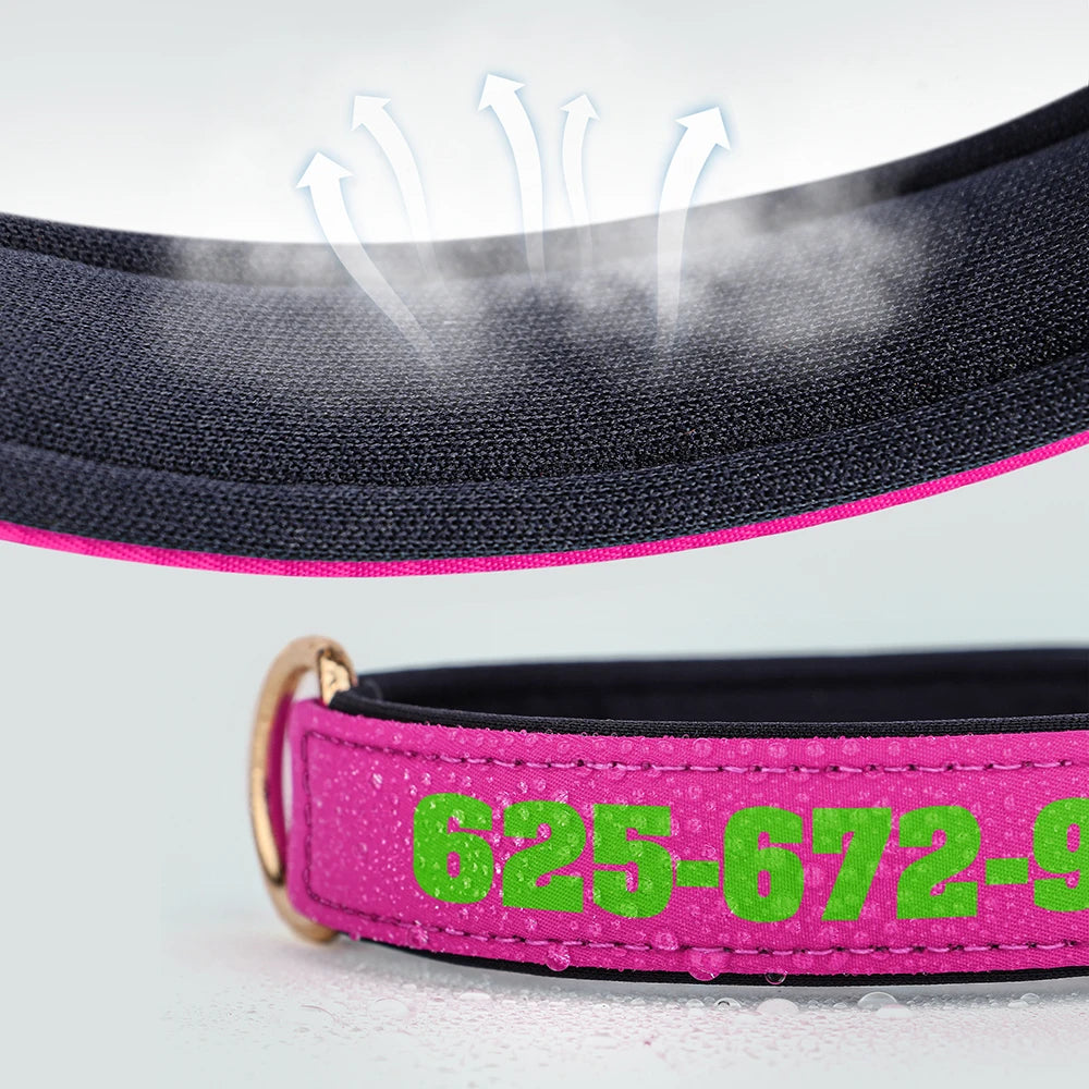 Custom Leather Dog Collar – Free Name & Number | Soft Padded & Adjustable