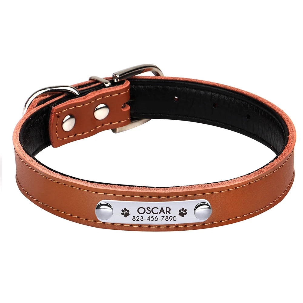 Custom Engraved Dog Collar – Personalized Puppy & Cat Collar with Nameplate – Adjustable for Small to Medium Dogs & Cats – Chihuahua, Pug, Yorkie
