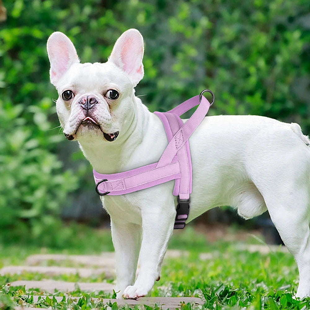 Nylon Padded Dog Harness Vest – Adjustable No Pull Soft Pet Harness for Small & Medium Dogs (French Bulldog, Chihuahua, Puppy, Cat Vest)