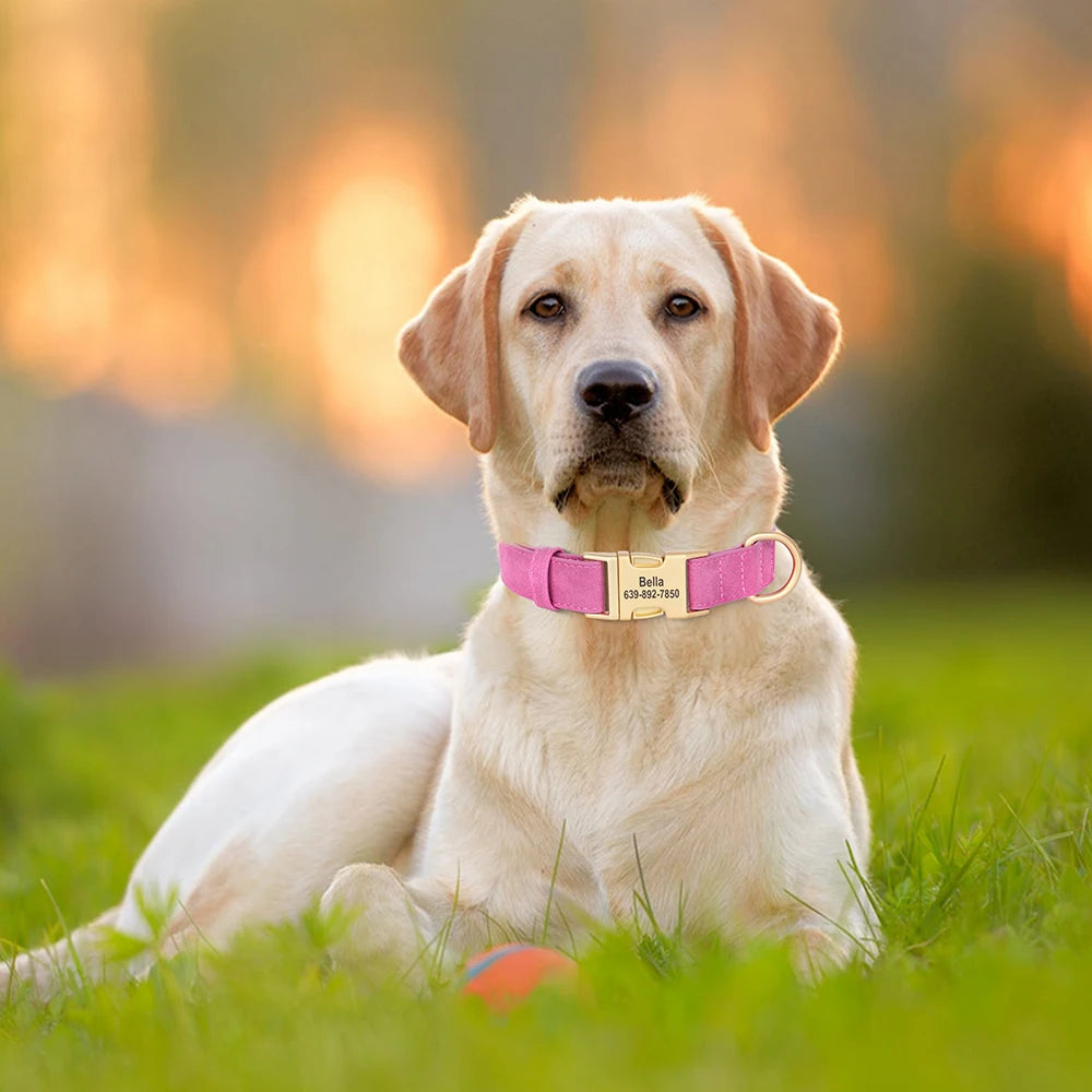Custom Engraved PU Leather Dog Collar – Anti-Lost ID Tag Included