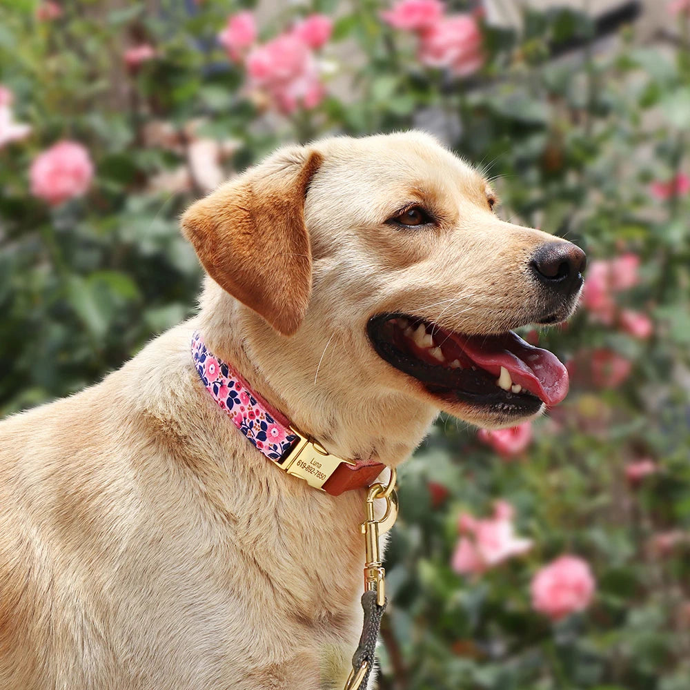 Personalized Dog Collar – Engraved Nylon &amp; PU Leather with Custom ID Tag