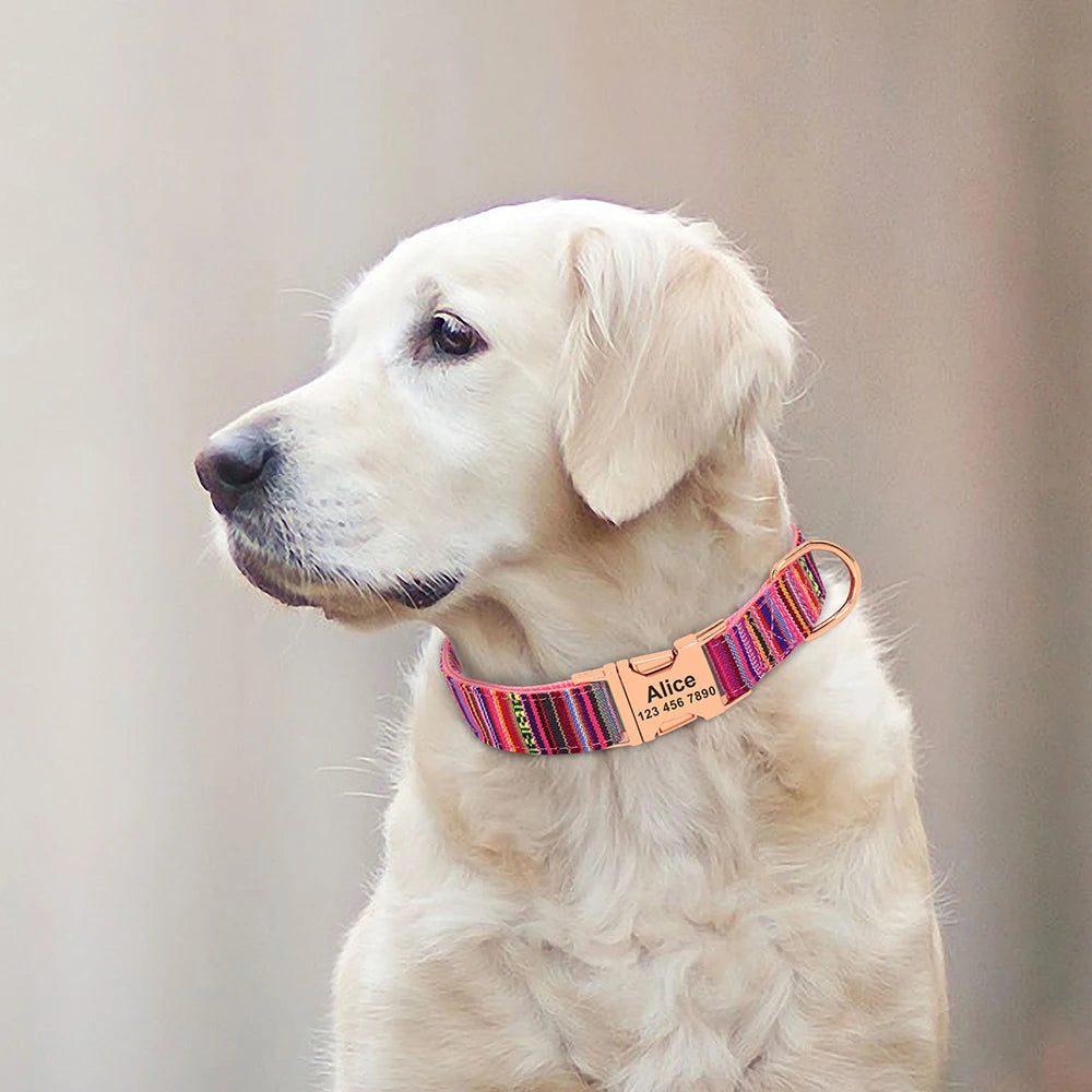 Personalized Nylon Dog Collar with Engraved Nameplate – Custom ID Tag for Small, Medium & Large Dogs