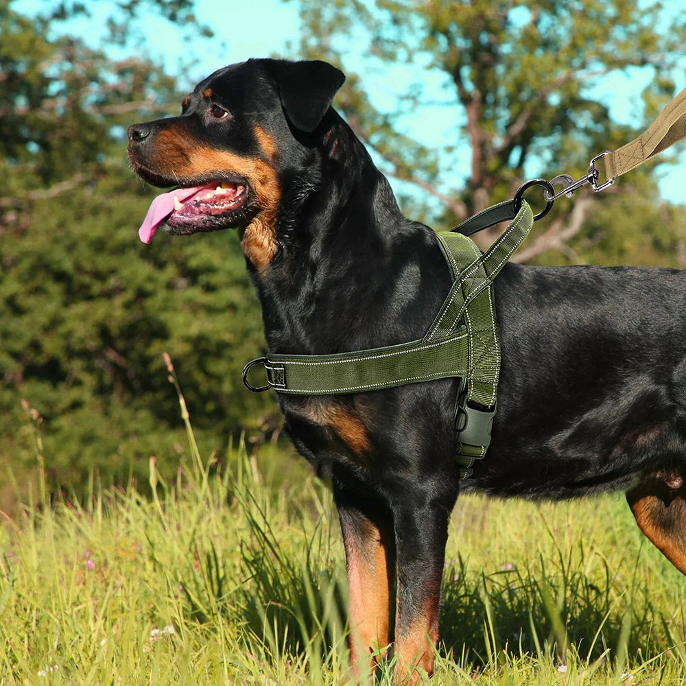 Reflective No Pull Nylon Dog Harness – Adjustable Training & Walking Vest for Medium & Large Dogs