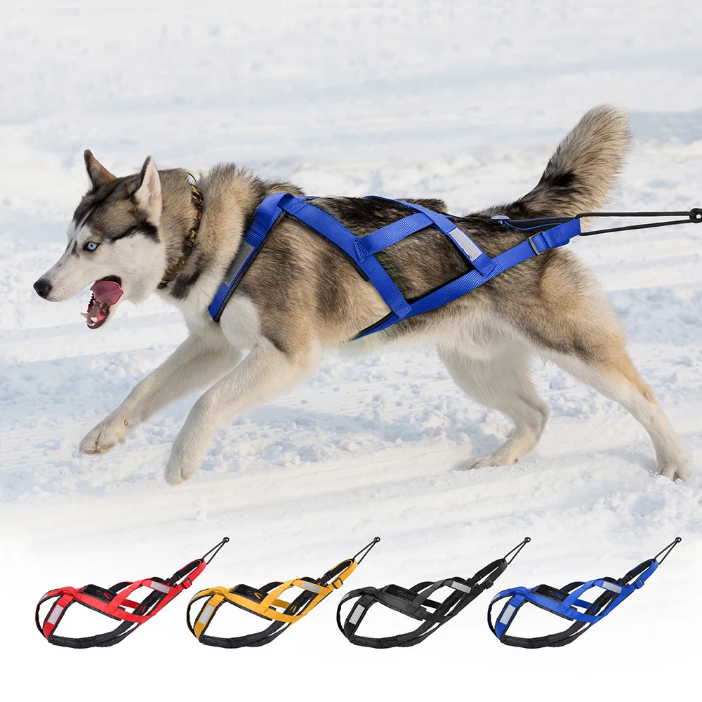 Dog Sledding Harness Reflective Pet Sledding Skijoring Harness Waterproof Big Large Dogs Weight Pulling Vest For Pet Training