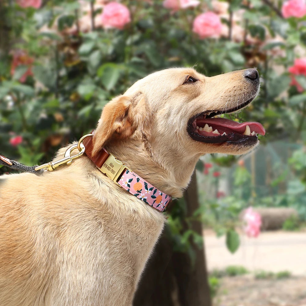 Personalized Dog Collar – Engraved Nylon &amp; PU Leather with Custom ID Tag
