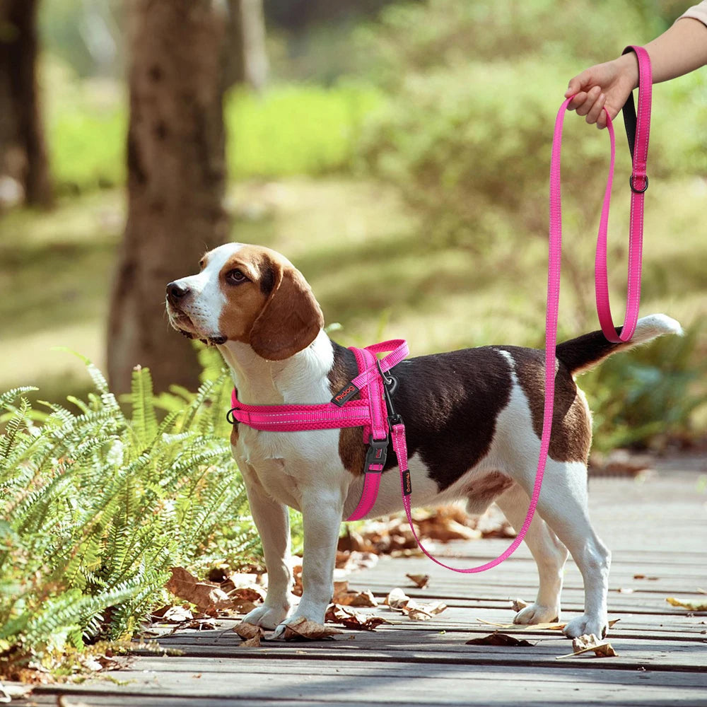 Nylon Reflective Dog Leash – Soft &amp; Durable Pet Lead