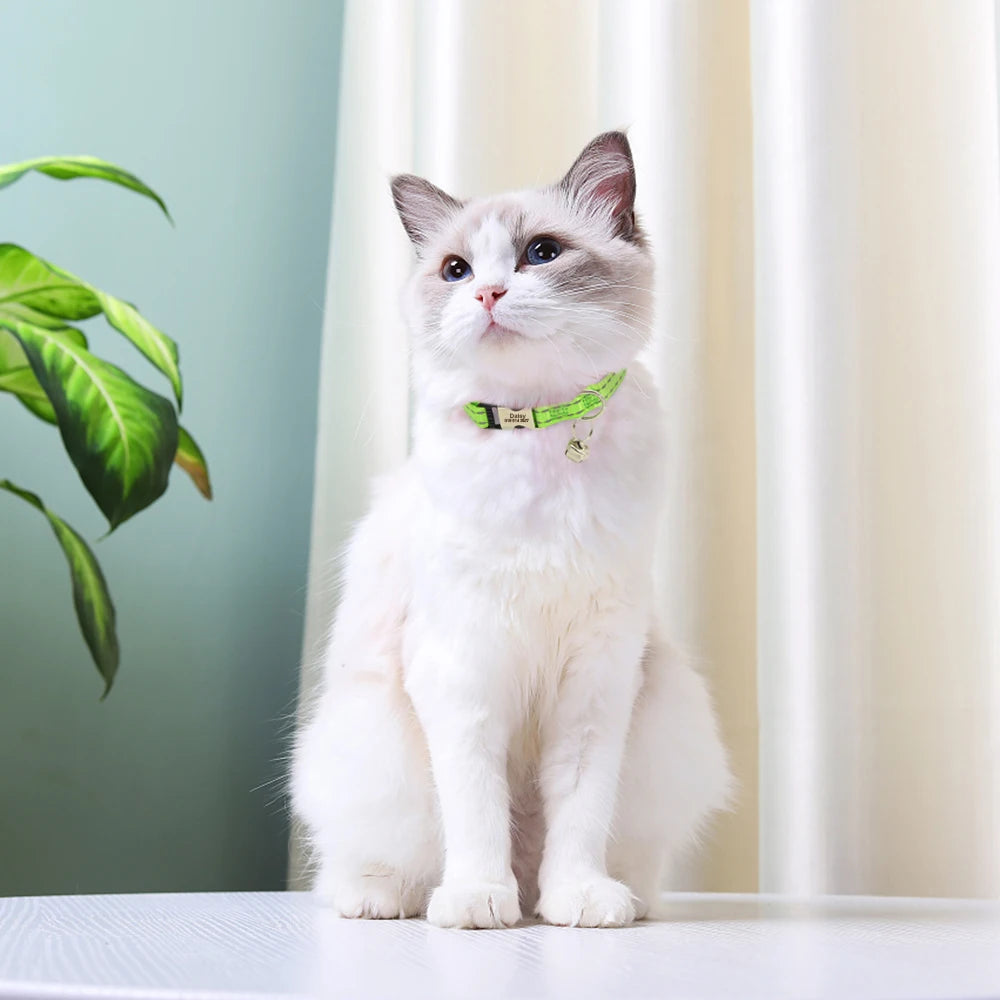 Personalized Cat Collar Free Engraved Pet ID Collars Adjustable Nylon Cat Necklace For Small Dogs Puppy Kitten With Cute Bell