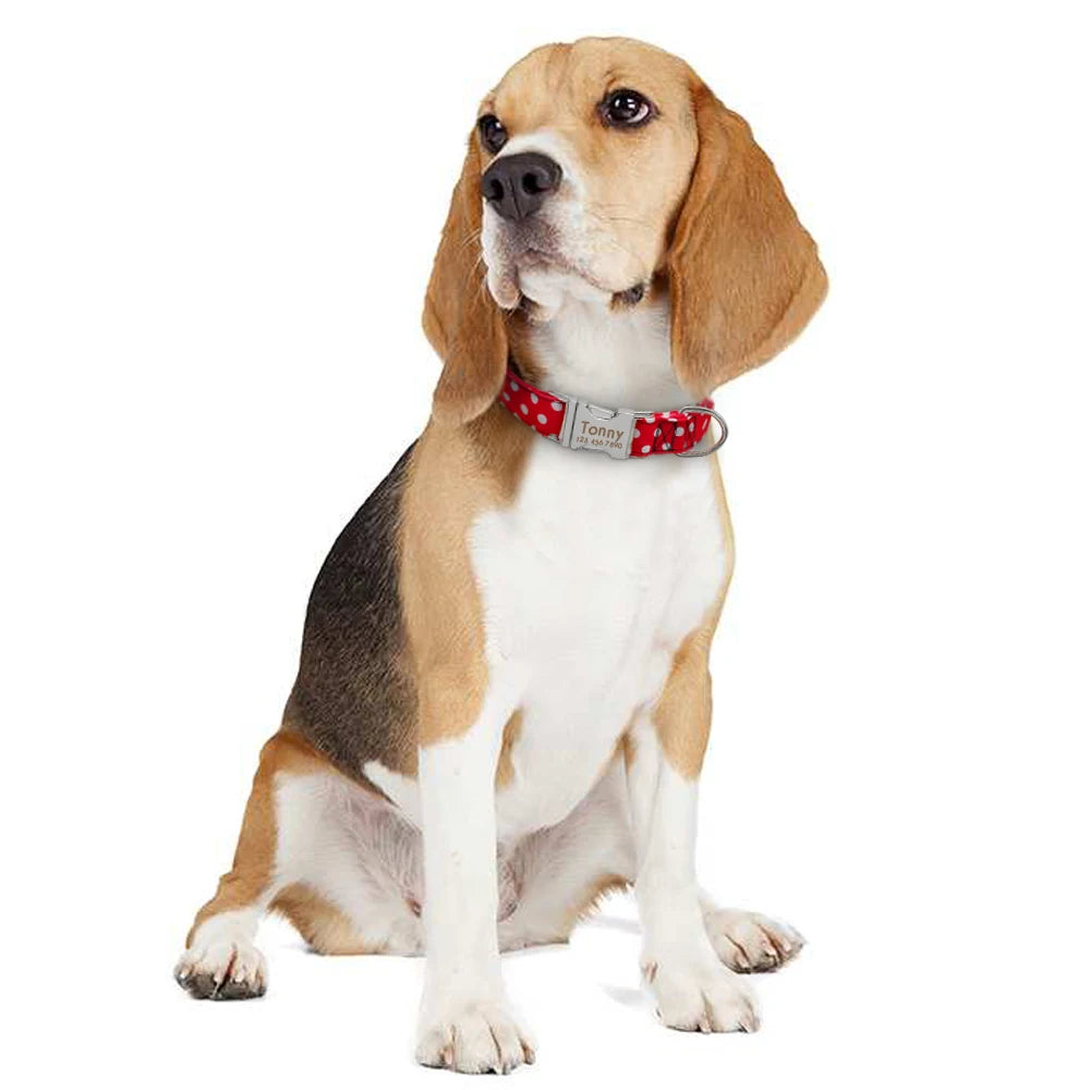 Adjustable Personalized Dog Collar – Custom Engraved Nylon Pet ID Collar | For Small, Medium & Large Dogs