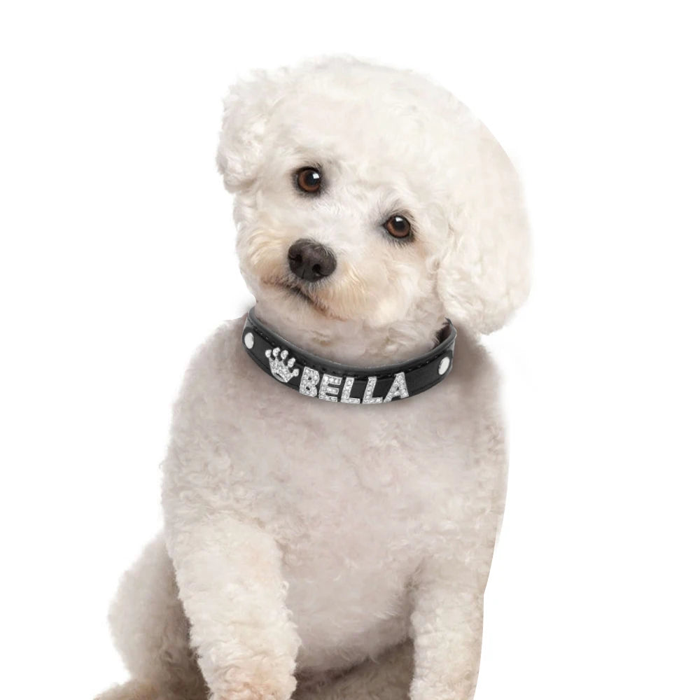 ✨ Personalized Bling Rhinestone Dog Collar – For Small Dogs & Cats ✨