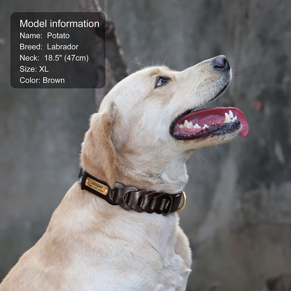 Custom Engraved Leather Dog Collar – Personalized Nameplate for Medium & Large Dogs