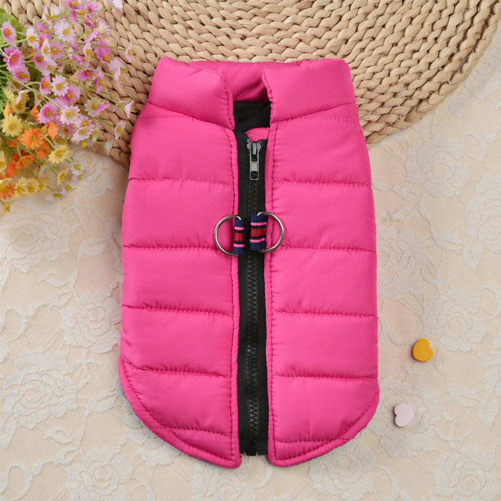 Warm Cotton Dog Vest – Winter Jacket for Small & Medium Dogs