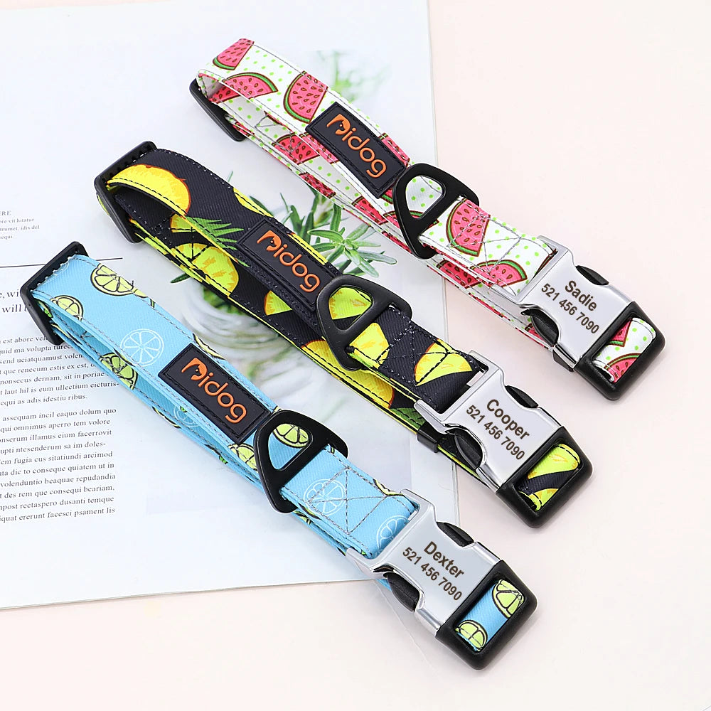 Personalized Nylon Dog Collar with Engraved Nameplate – Custom ID Tag for Small, Medium & Large Dogs