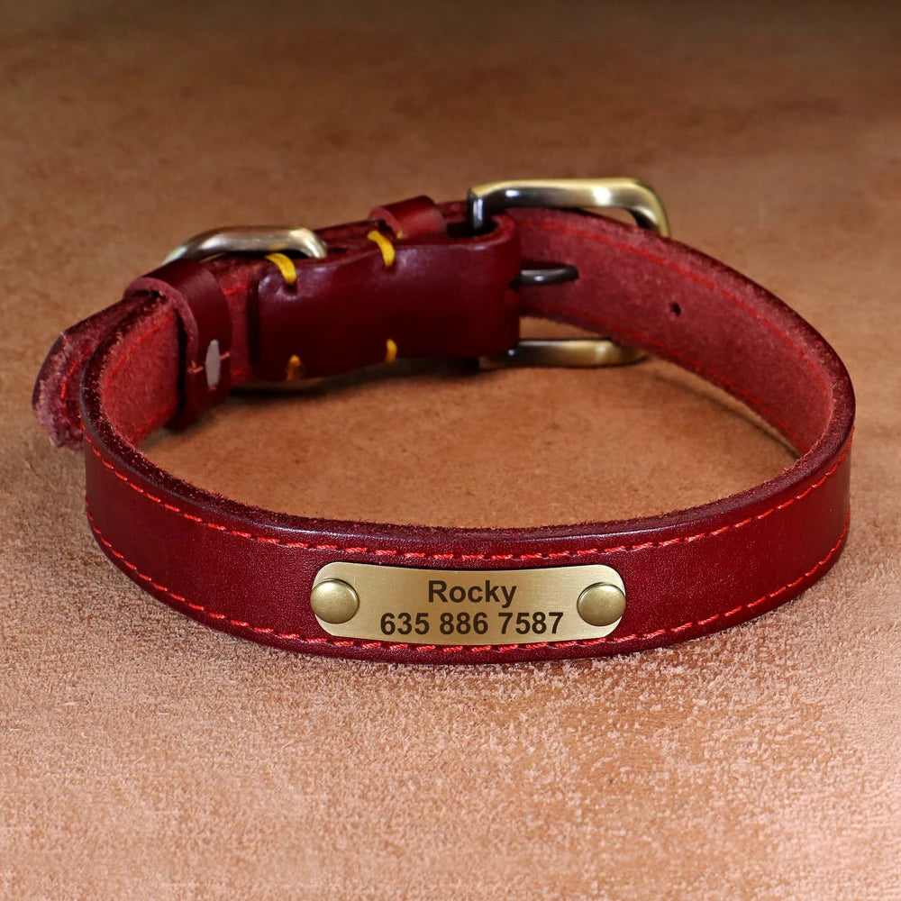 Custom Dog Collar – Personalized ID Tag Collar for Small, Medium, and Large Dogs