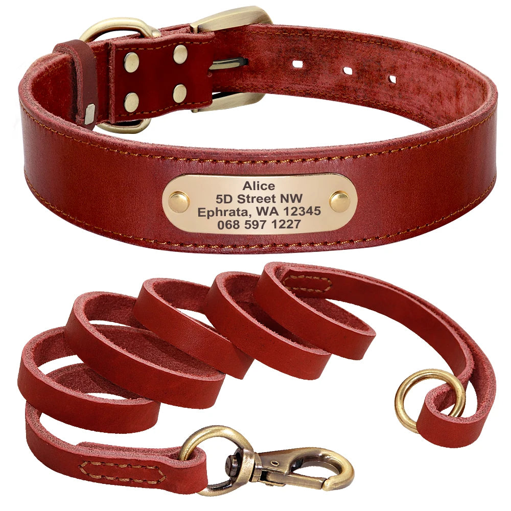 🦴 Custom Leather Dog Collar & Leash Set — Personalized for Safety & Style 🐾