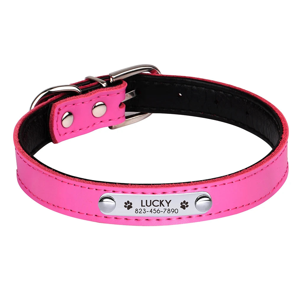 Custom Engraved Dog Collar – Personalized Puppy & Cat Collar with Nameplate – Adjustable for Small to Medium Dogs & Cats – Chihuahua, Pug, Yorkie