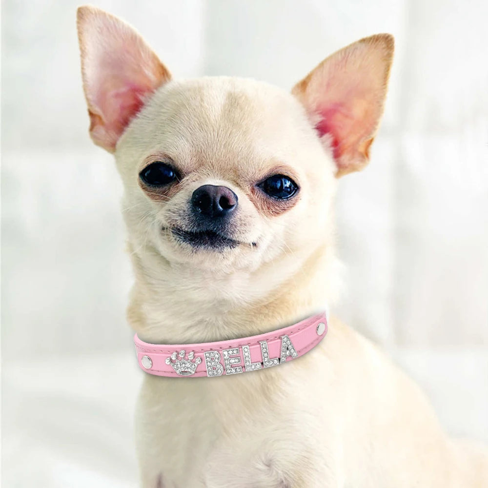 ✨ Personalized Bling Rhinestone Dog Collar – For Small Dogs & Cats ✨