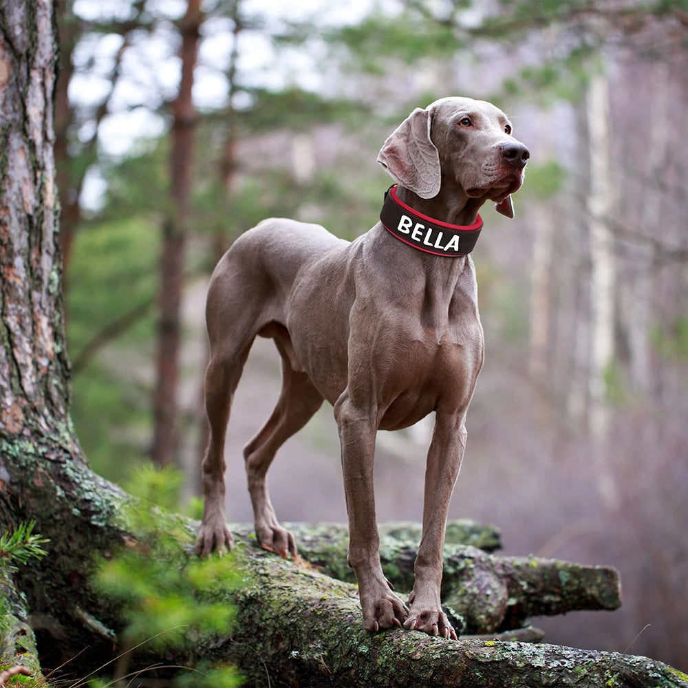Custom Print Dog Collar – Wide Soft Padded PU Leather Name Collar for Medium & Large Dogs (Free Personalized Print)